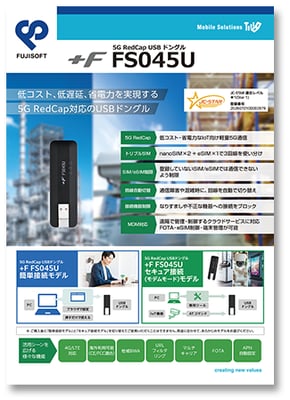 plusFfs045u_cata